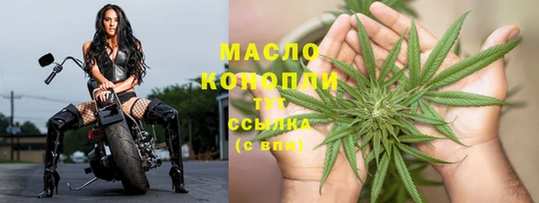 первитин Каменка