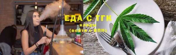 индика Каменногорск