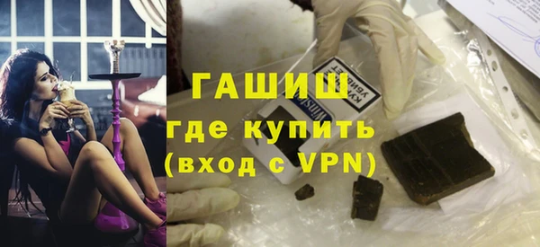 индика Каменногорск