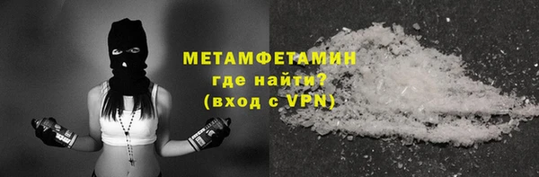 индика Каменногорск