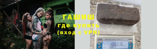индика Каменногорск