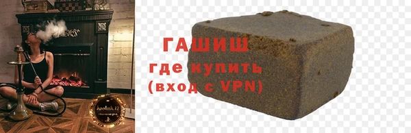 индика Каменногорск