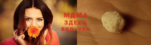 индика Каменногорск