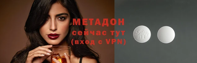 индика Каменногорск