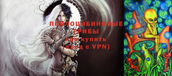 индика Каменногорск