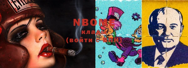 индика Каменногорск