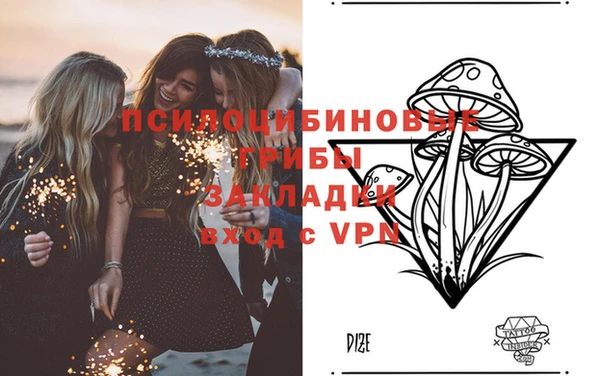 первитин Каменка