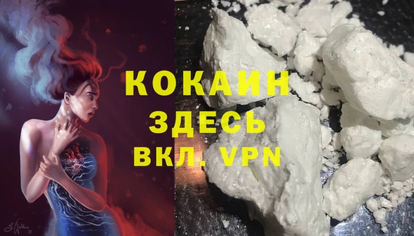 первитин Каменка