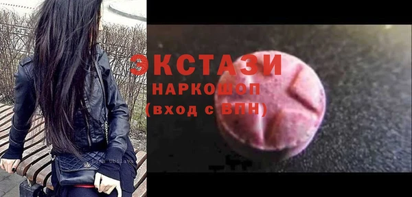 индика Каменногорск
