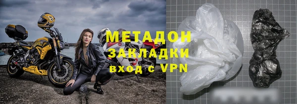 индика Каменногорск