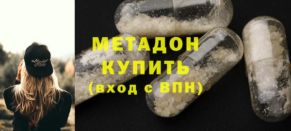 индика Каменногорск