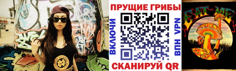 Купить закладки  Донской  Псилоцибиновые грибы MAGIC MUSHROOMS 