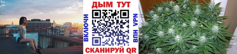 Купить где  Донской  Марихуана гибрид 